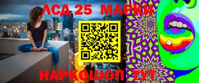молекула духа Кингисепп