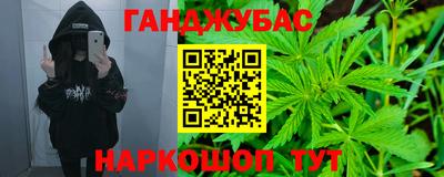 молекула духа Кингисепп