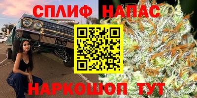 эйфоретик Кимры