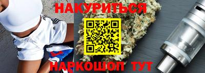 молекула духа Кингисепп