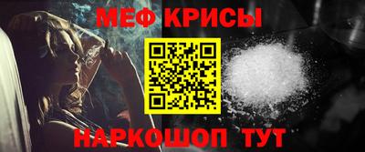 молекула духа Кингисепп