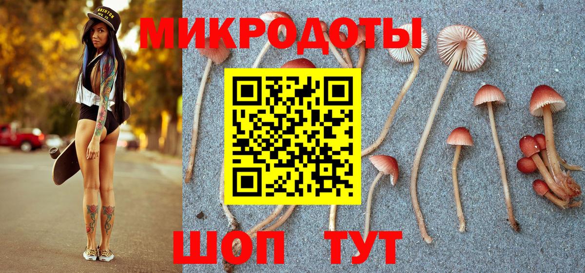 Псилоцибиновые грибы Cubensis Тутаев